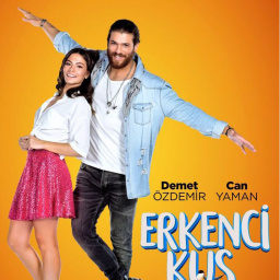 Tv Shows to Watch If You Like Erkenci Kus (2018 - 2019)