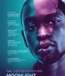 Movies to Watch If You Like Moonlight in Vermont (2017)