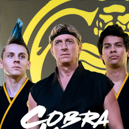 Tv Shows Similar to Cobra Kai (2018)