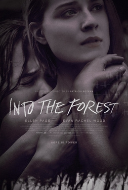 Into the Forest (2015) - Movies You Would Like to Watch If You Like Light of My Life (2019)