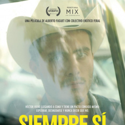 Most Similar Movies to Always Say Yes (2019)