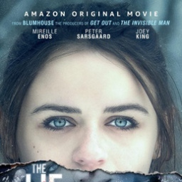 Movies You Would Like to Watch If You Like the Lie (2018)