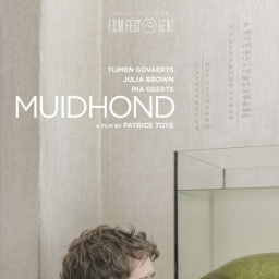 Movies You Should Watch If You Like Tench (2019)