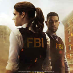 Tv Shows You Would Like to Watch If You Like FBI (2018)