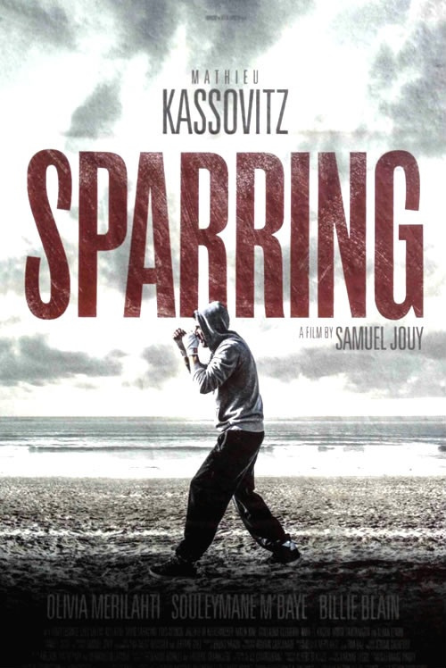 Movies You Should Watch If You Like Sparring (2017)