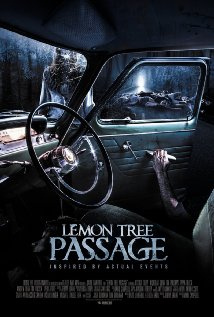 Lemon Tree Passage (2014) - Movies You Would Like to Watch If You Like the Sonata (2018)
