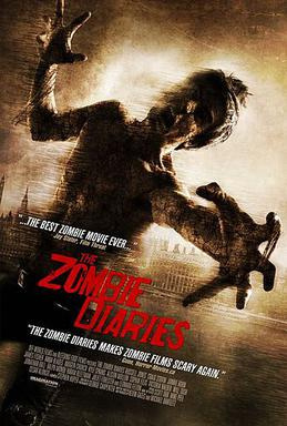 The Zombie Diaries (2006) - Tv Shows to Watch If You Like Origin (2018 - 2018)