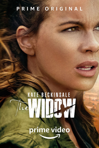 The Widow (2019 - 2019) - Tv Shows You Should Watch If You Like Gold Digger (2019 - 2019)