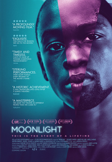 Moonlight in Vermont (2017) - Movies You Would Like to Watch If You Like the Wrong Missy (2020)